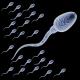 Increase Your Sperm Count With Walnuts